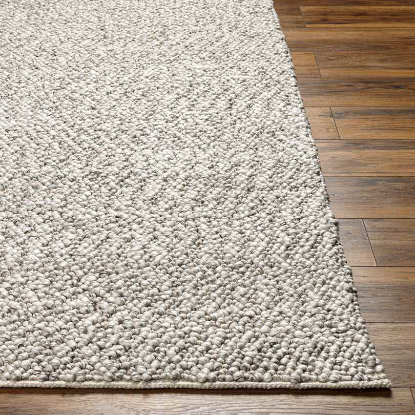 Leonora Modern Light Gray/Off-White Area Rug