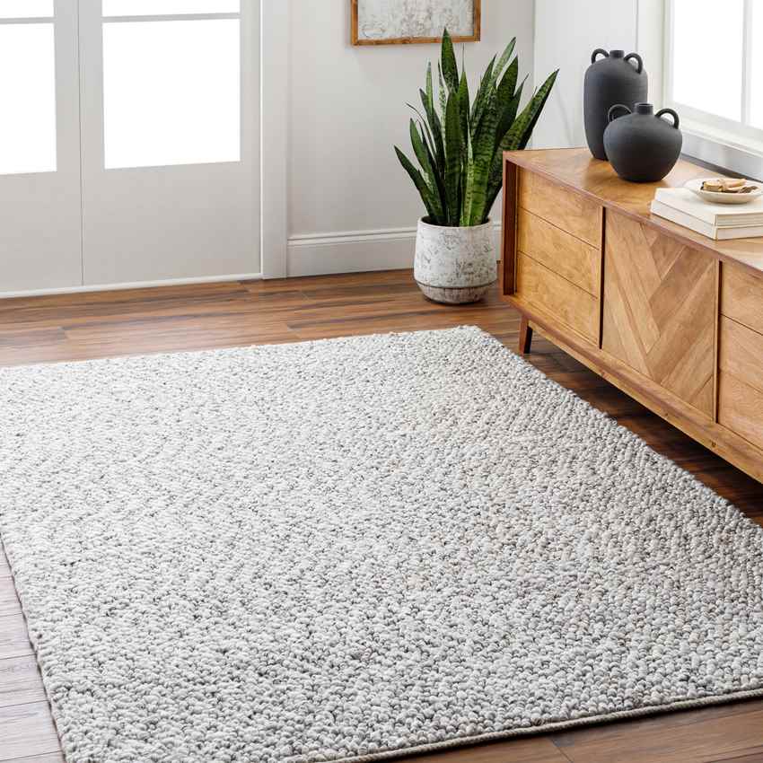 Leonora Modern Light Gray/Off-White Area Rug