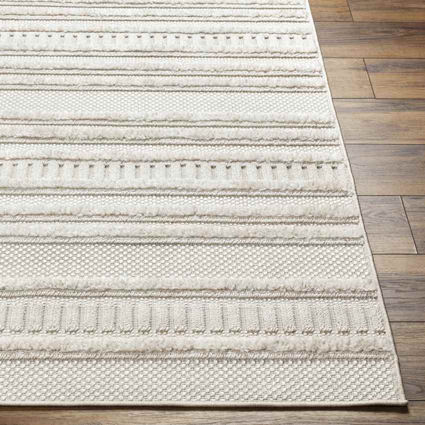 Eugenia Modern Beige/Ivory Area Rug