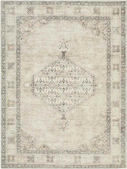 Lila Traditional Blush/Beige Area Rug - Becki Owens x Livabliss