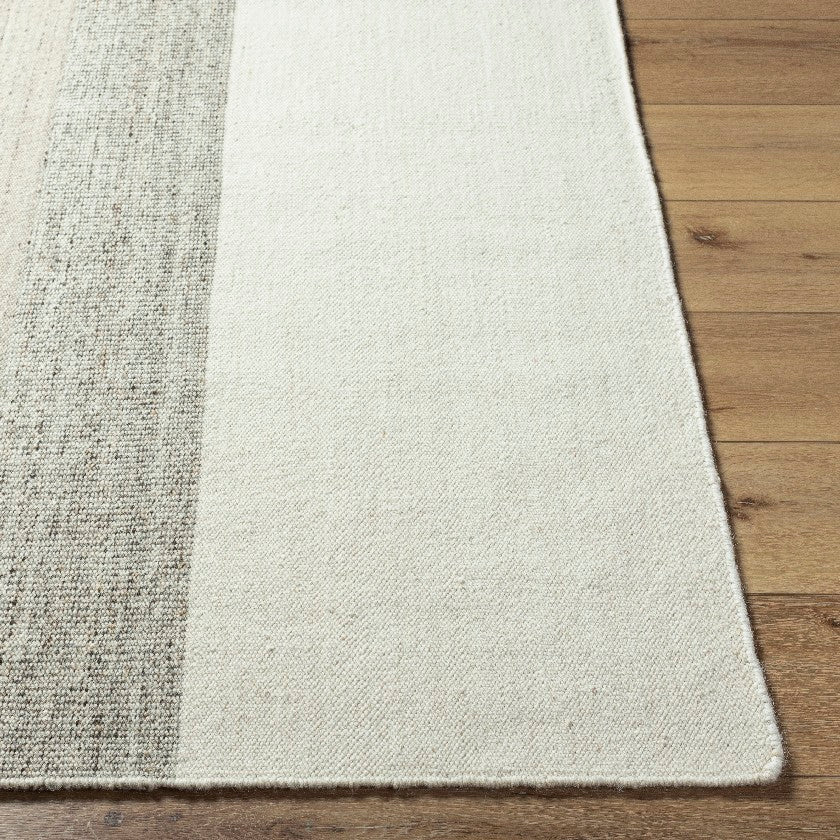 Dasean Modern Light Silver Area Rug