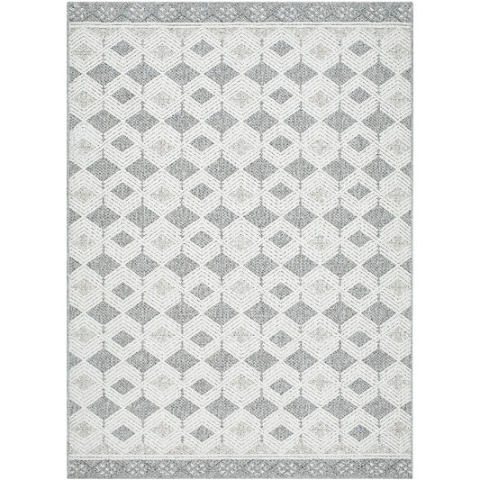 Aryan Modern Light Gray Area Rug