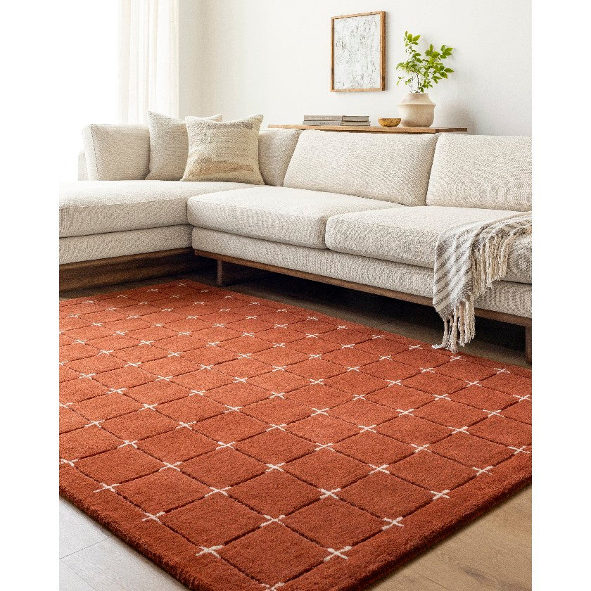 Rust orange area cheapest rug, designer rug for living room, Rust colored rugs, Terracotta rug, Boho terracotta rug