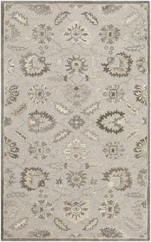 Kinistino Traditional Taupe Area Rug
