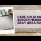 Cade Solid and Border Medium Gray Area Rug