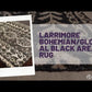 Larrimore Global Black Area Rug