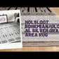 Holsloot Bohemian/Global Silver Gray Area Rug