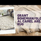 Grant Bohemian/Global Camel Area Rug