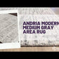 Andria Modern Medium Gray Area Rug