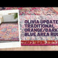 Olivia Traditional Orange/Dark Blue Area Rug