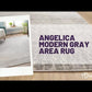 Angelica Modern Gray Area Rug