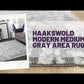 Haakswold Modern Medium Gray Area Rug