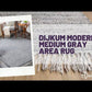 Dijkum Modern Medium Gray Area Rug