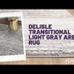 Delisle Transitional Light Gray Area Rug