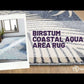 Birstum Coastal Aqua Area Rug